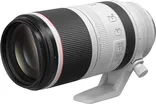 Canon RF 100-500mm F4.5-7.1 L IS 3