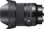 Sigma 24mm F1.4 DG DN Art 5