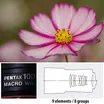 Pentax D FA 100mm F2.8 Macro WR 4