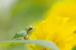 Pentax D FA 100mm F2.8 Macro WR 8