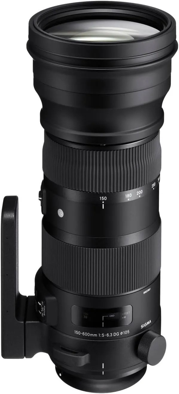 Sigma 150-600mm F5-6.3 DG OS HSM 1