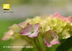Nikon AF-S Micro-Nikkor 60mm f/2 8