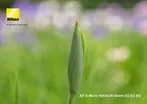 Nikon AF-S Micro-Nikkor 60mm f/2 11