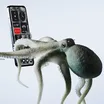 Nothing Phone 2 3