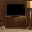 Bose TV Speaker 5