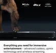Sennheiser AMBEO Soundbar Plus 5