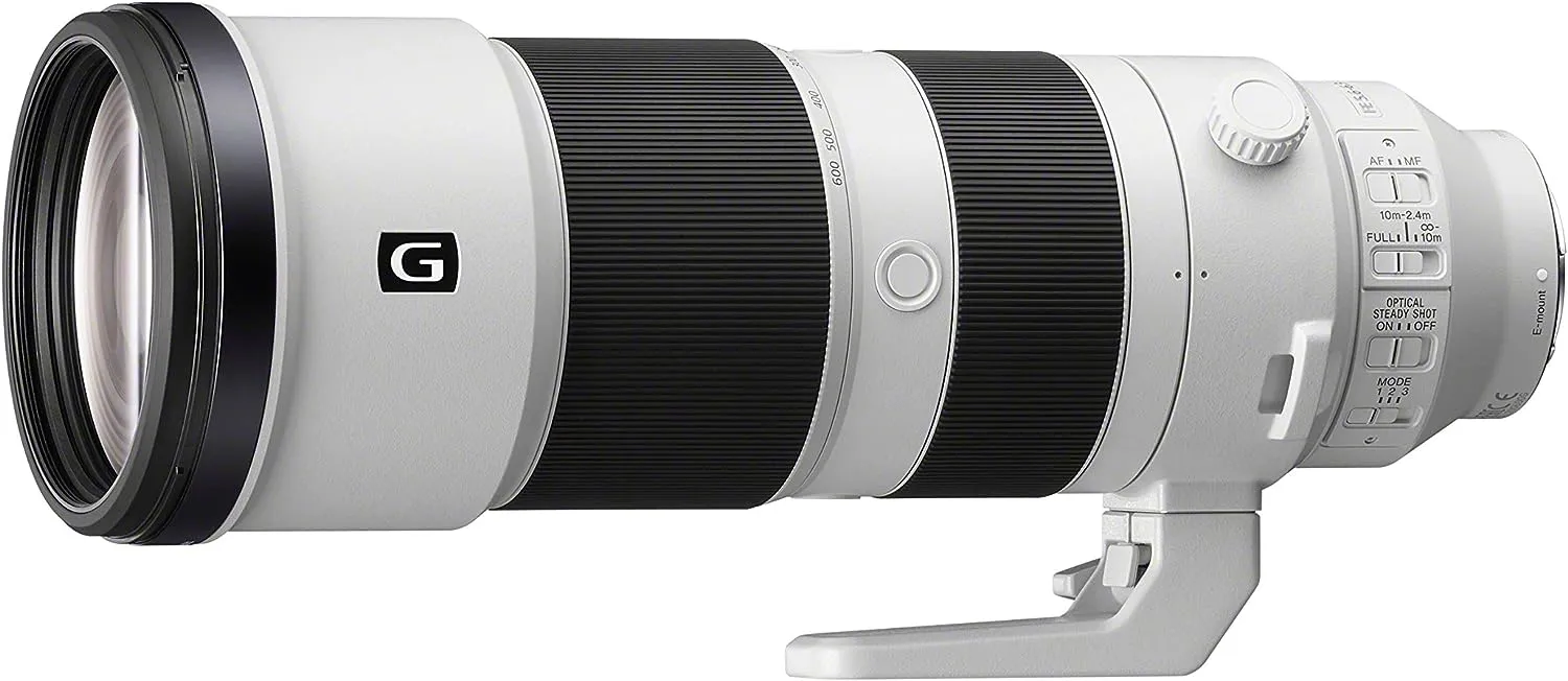 Sony FE 200-600mm F5.6-6.3 G OSS 1