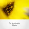 Sony FE 50mm F2.8 Macro 3