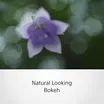 Sony FE 50mm F2.8 Macro 5